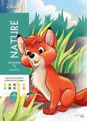 Coloriages mysteres Disney - Nature