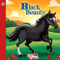 Black Beauty Little Classics