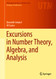 Excursions in Number Theory Algebra and Analysis