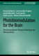 Photobiomodulation for the Brain: Photobiomodulation Therapy in