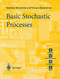 Basic Stochastic Processes