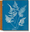 Anna Atkins: Cyanotypes
