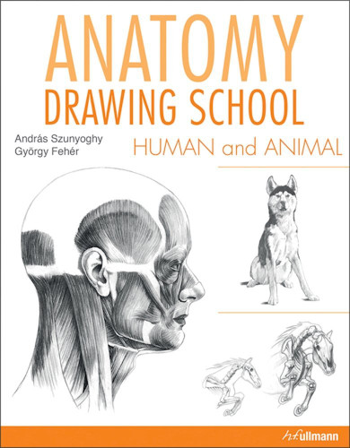 Anatomy Drawing School: Human and Animal