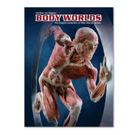 Body Worlds - The original exhibition of real human bodies