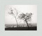 Robert Adams: Los Angeles Spring