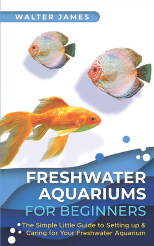 Freshwater Aquariums for Beginners