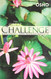 Great Challenge