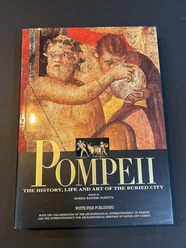 Pompeii: The History Life and Art of the Buried City