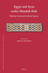 Egypt and Syria under Mamluk Rule Political Social and Cultural Aspects