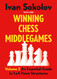 Winning Chess Middlegames
