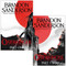 The Stormlight Archive Book Series 2 Books Set By Brandon Sanderson