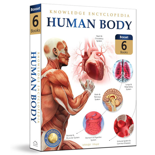 Knowledge Encyclopedia