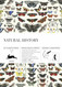 Natural History: Gift & Creative Paper Book Vol. 107