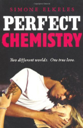 Perfect Chemistry