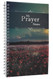 My Prayer Notes Wirebound Notebook