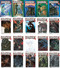 Berserk Volume 21-40 Collection 20 Books Set by Kentaro Miura