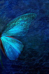 Butterfly Journal: Blue Butterfly Journal for Women to Write In - 6x9