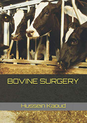 Bovine Surgery
