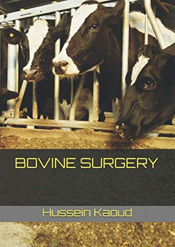 Bovine Surgery