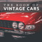 The Book of Vintage Cars: Picture Book For Seniors With Dementia