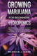 Growing Marijuana for Beginners - Hydroponics