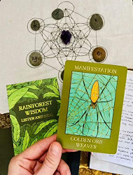 Rainforest Wisdom // Listen and Heal