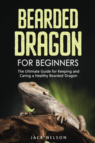 Bearded Dragon for Beginners: The Ultimate Guide for Keeping and