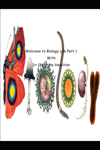 Biology Lab Part 1: Homeschool Connections