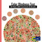 Color Blindness Test