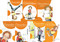 Clementine Book Series Set