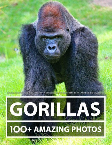 Gorilla Pictures and Photography - A Gorillas Picture and Photo Book