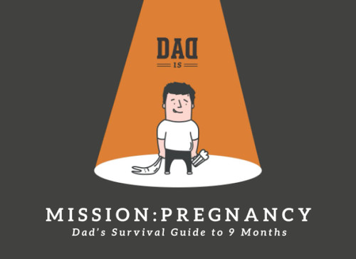 Mission: Pregnancy - Dad's Survival Guide to 9 Months
