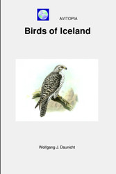 AVITOPIA - Birds of Iceland