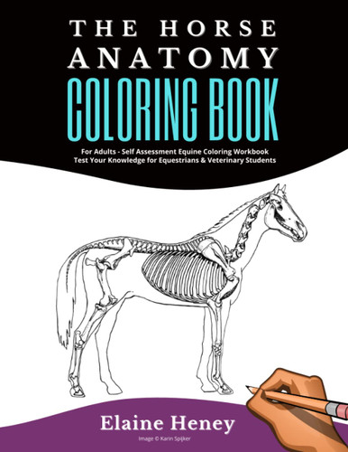 Horse Anatomy Coloring Book For Adults - Self Assessment Equine