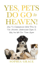 Yes Pets Do Go To Heaven!