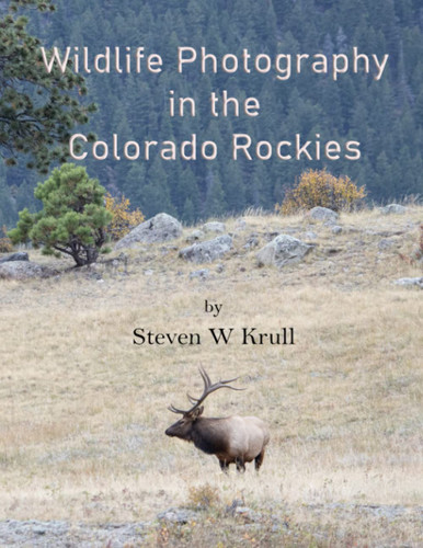 Wildlife Photography in the Colorado Rockies: Where and How to Find