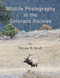 Wildlife Photography in the Colorado Rockies: Where and How to Find Wildlife Photography in the Colorado Rockies: Where and How to Find