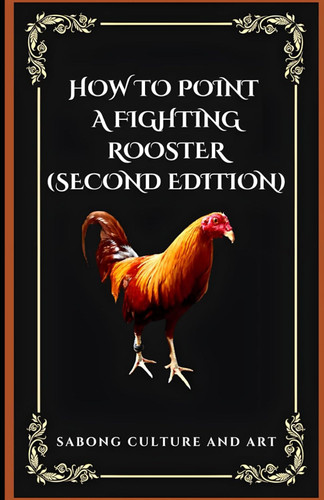 How to Point A Fighting Rooster