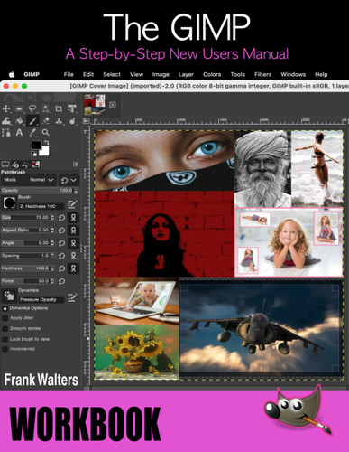 The GIMP Workbook: A Step-by-Step New Users Manual