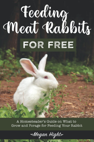 Feeding Meat Rabbits for Free: A Guide to Growing and Foraging for