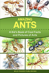 Amazing Ants. A Kid's Book of Cool Facts and Pictures of Ants