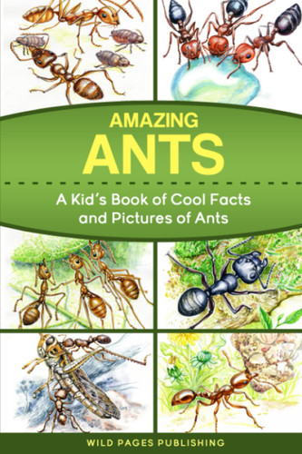 Amazing Ants. A Kid's Book of Cool Facts and Pictures of Ants