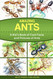 Amazing Ants. A Kid's Book of Cool Facts and Pictures of Ants