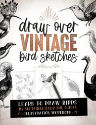Draw Over Vintage Bird Sketches