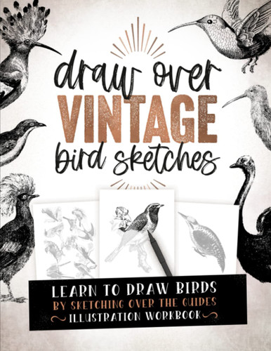 Draw Over Vintage Bird Sketches