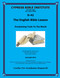 The English Bible Lesson