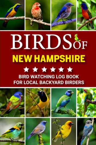 Birds Of New Hampshire