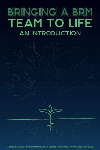Bringing a BRM Team to Life: An Introduction