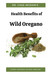 Health Benefits of Wild Oregano