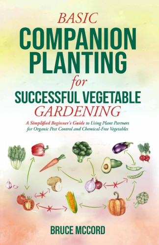 Basic Companion Planting for Successful Vegetable Gardening